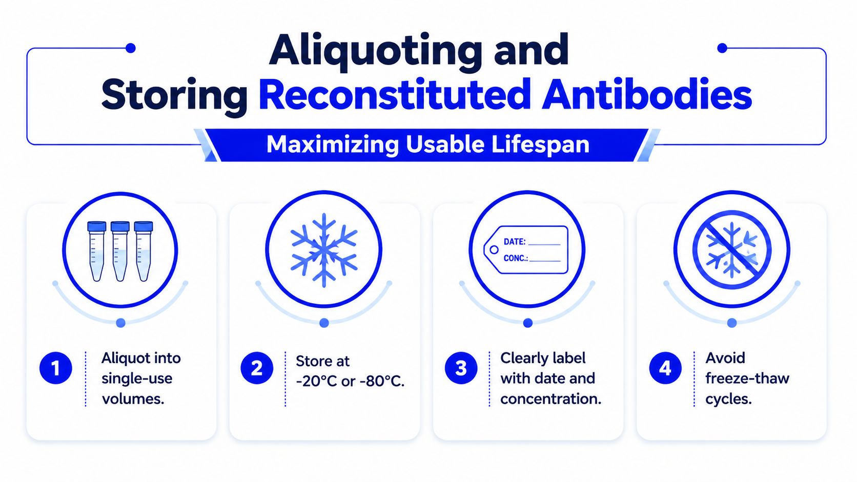 An infographic showing four steps for aliquotting and storing reconstituted antibodies to maximize their usable lifespan.