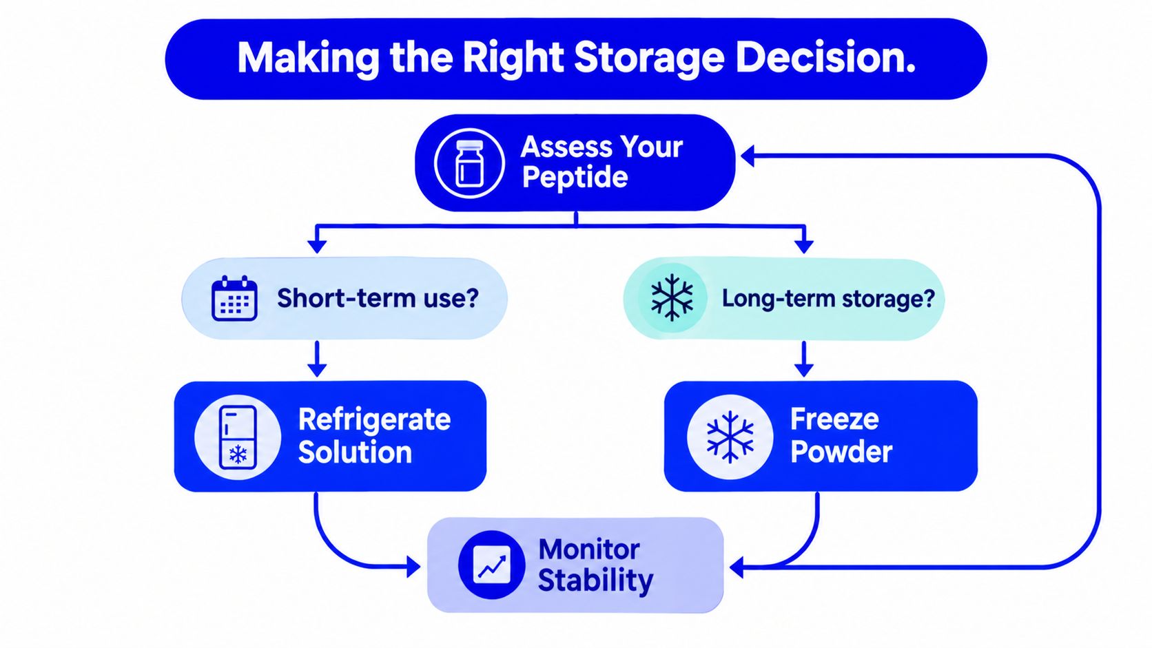 A flowchart titled Making the Right Storage Decision, illustrating peptide storage guidelines for short-term and long-term use.