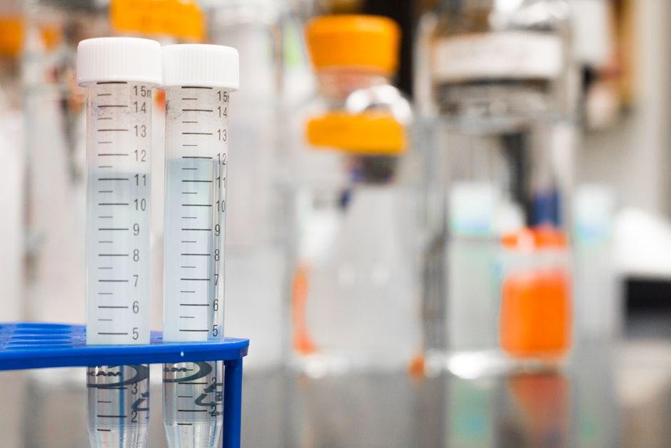 Two clear test tubes in a laboratory, essential for scientific research.